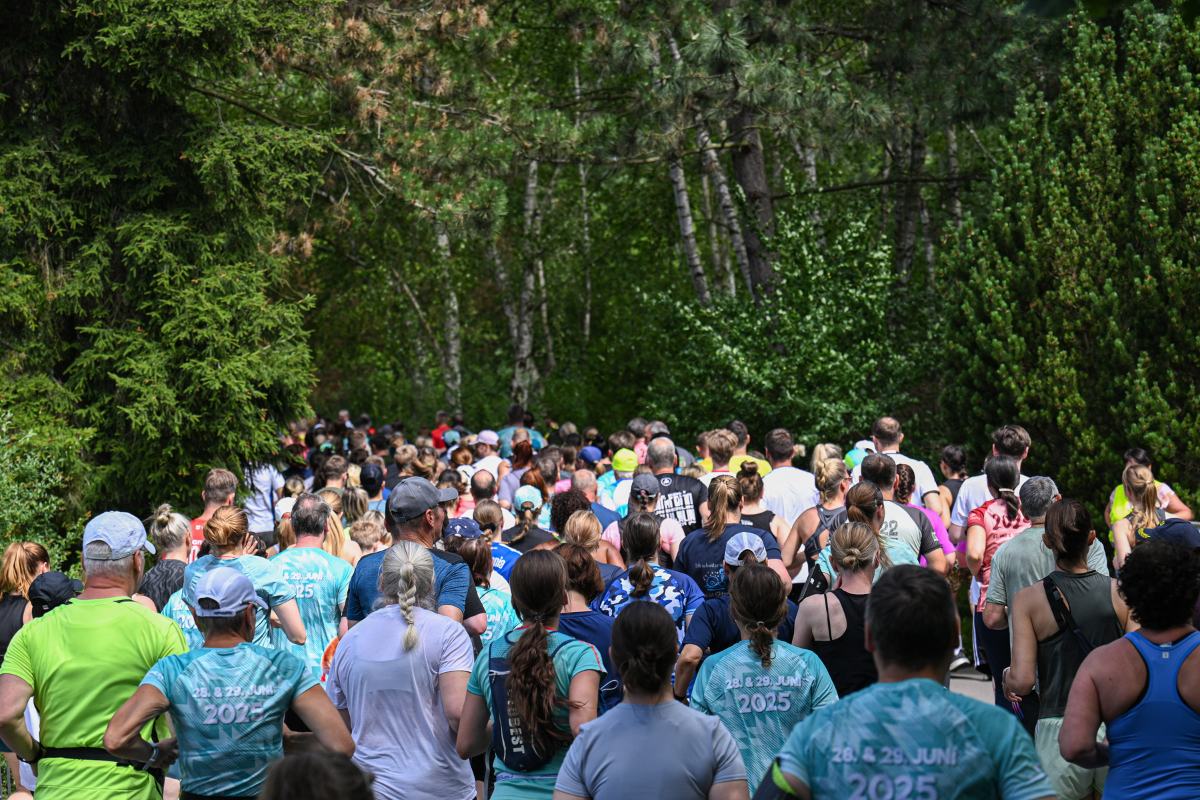 Sichert euch einen der begehrten Plätze für den VOLVO Tierparklauf!