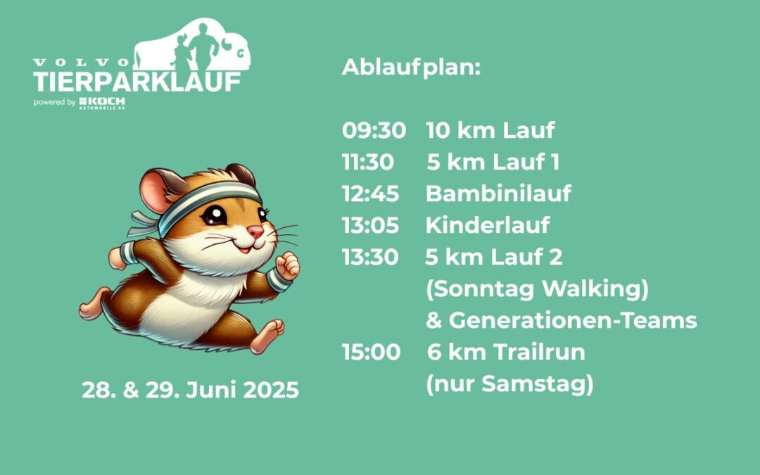 Ablaufplan 2025