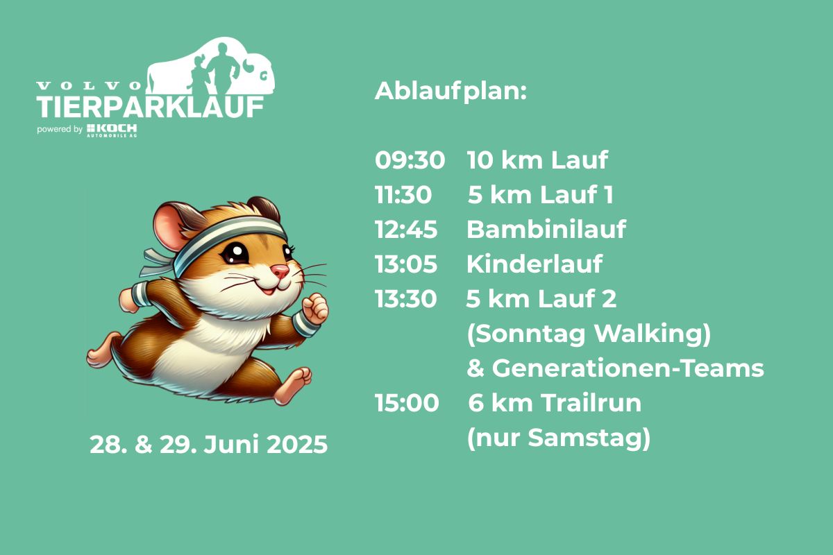 Ablaufplan 2025