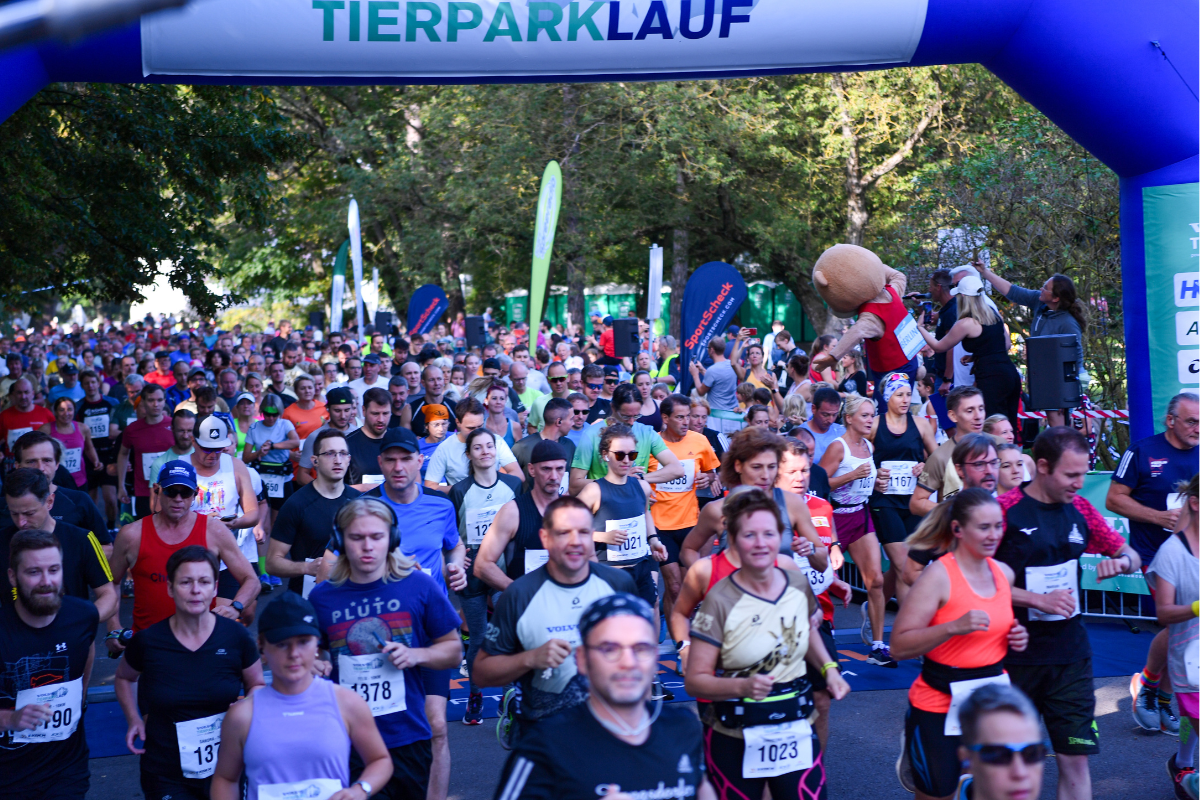5500 sports enthusiasts at the VOLVO Tierparklauf 2023