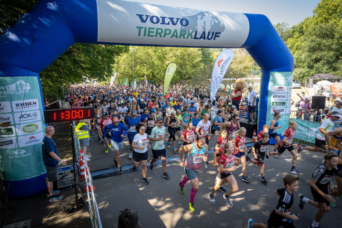 Jetzt anmelden & sparen: VOLVO Tierparklauf im Endspurt der Hauptanmeldung