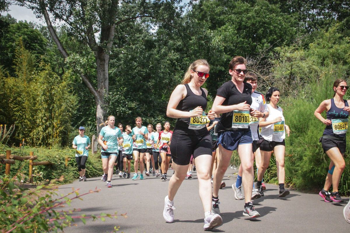 Jetzt sparen beim „VOLVO Tierparklauf“!