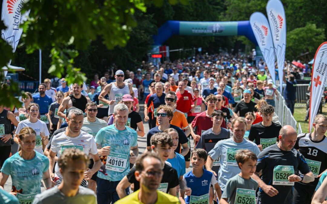VOLVO Tierparklauf 2025 – Teilnehmerrekord bei Sommerhitze