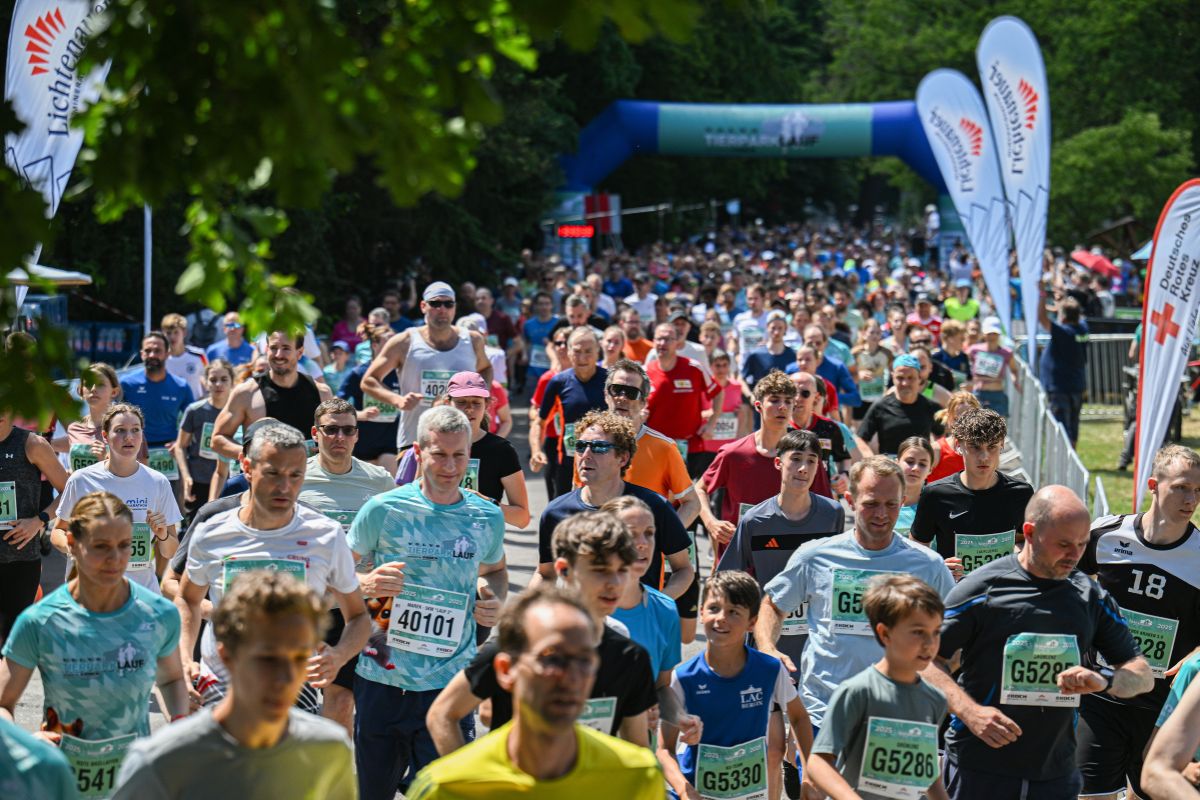 VOLVO Tierparklauf 2025 – Teilnehmerrekord bei Sommerhitze